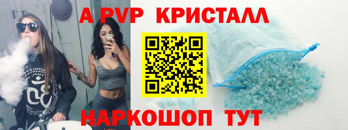 A PVP СК КРИС Новозыбков