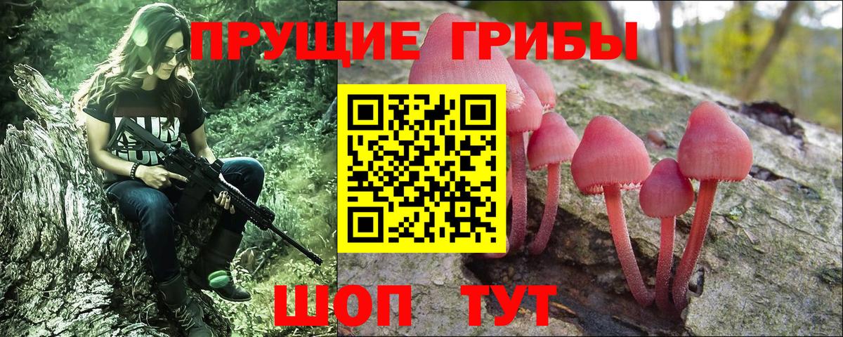 Гашиш Новозыбков