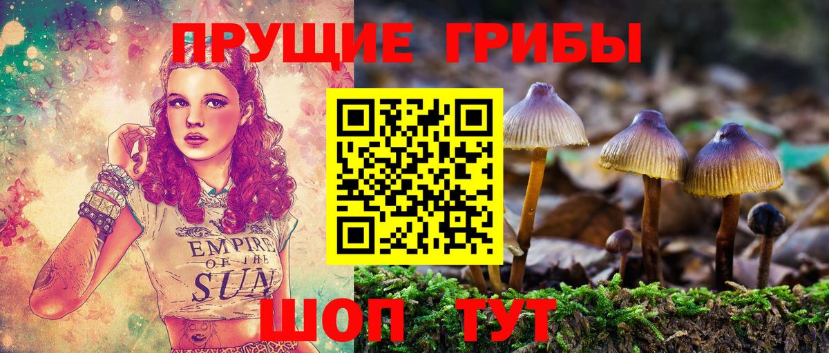 Галлюциногенные грибы GOLDEN TEACHER Новозыбков