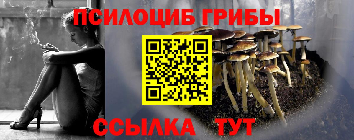Галлюциногенные грибы GOLDEN TEACHER  Вход с VPN  Новозыбков 